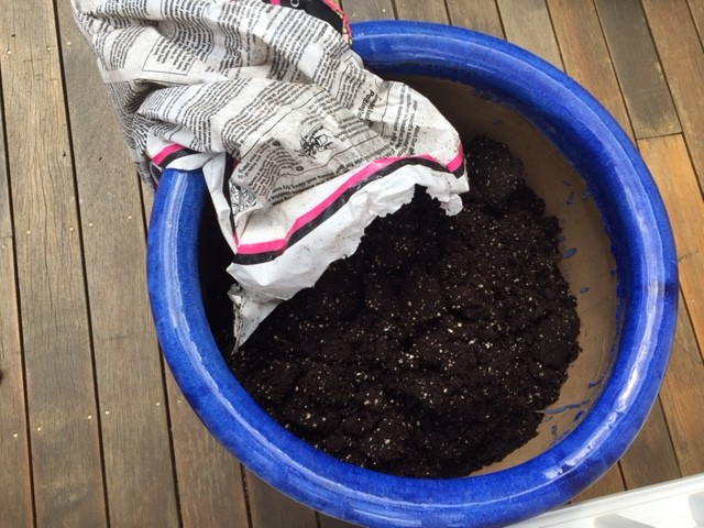 Deck Herb Garden