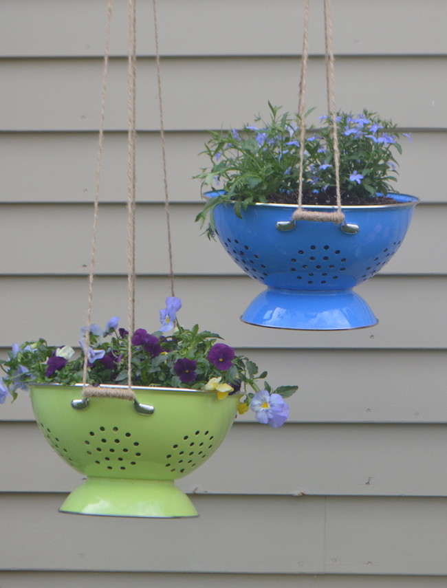 Hanging plants in colorful colanders