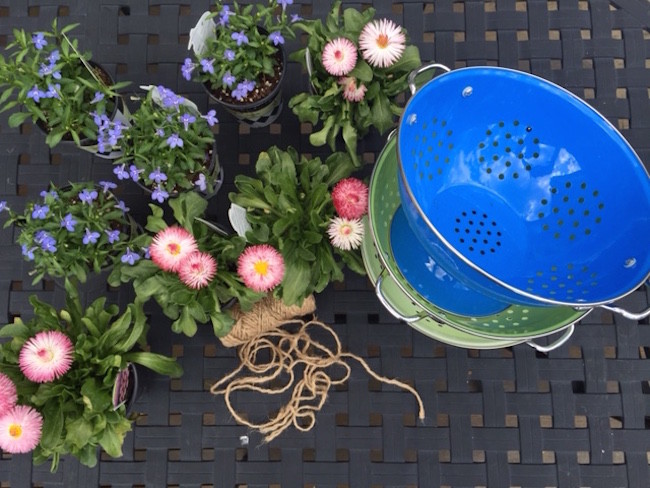 supplies for colander hanging plants