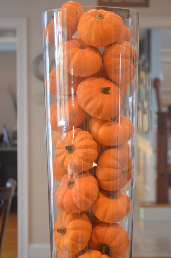 Mini Pumpkins in a Vase in the Kitchen