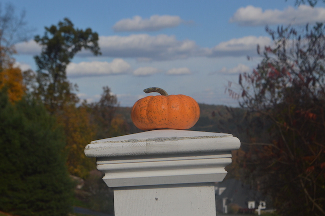 Pumpkin on the post