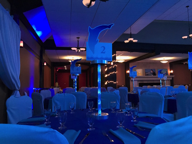 Dolphin Themed Bat Mitzvah Party
