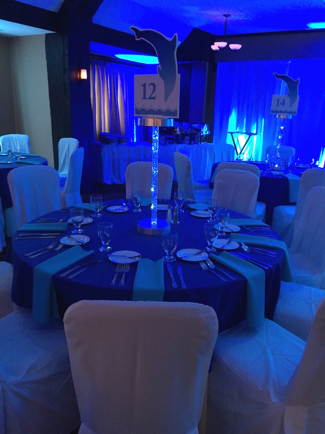 Dolphin Themed Bat Mitzvah Party