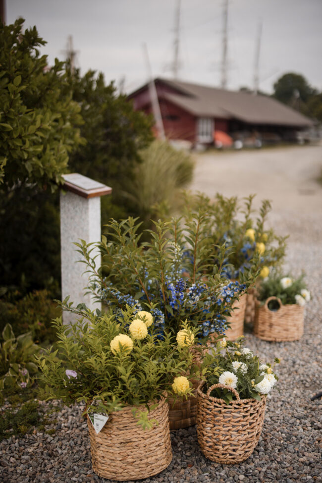 Florals in position for the ceremony